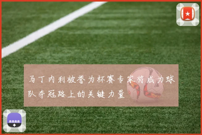 马丁内利被誉为杯赛专家将成为球队夺冠路上的关键力量