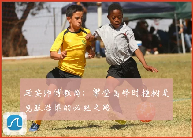 延安师傅教诲：攀登高峰时撞树是克服恐惧的必经之路