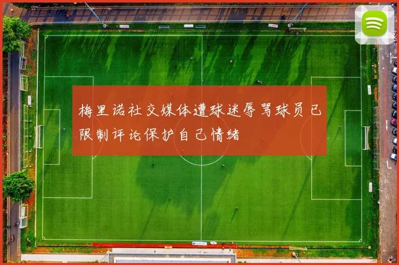 梅里诺社交媒体遭球迷辱骂球员已限制评论保护自己情绪