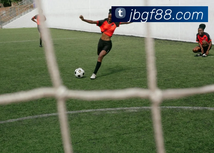 奖项证书